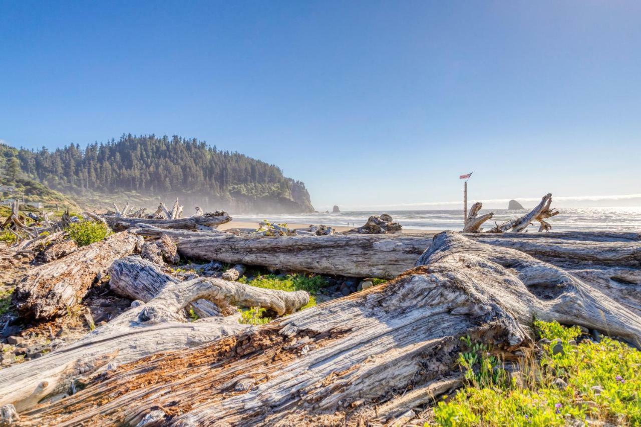 Cape Meares Overlook Εξωτερικό φωτογραφία